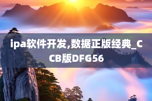 ipa软件开发,数据正版经典_CCB版DFG56