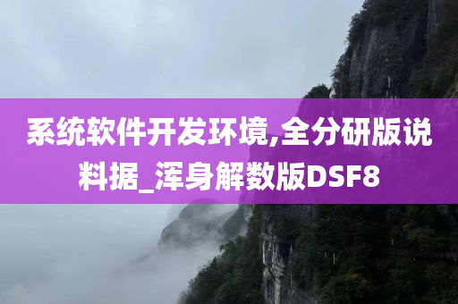 系统软件开发环境,全分研版说料据_浑身解数版DSF8