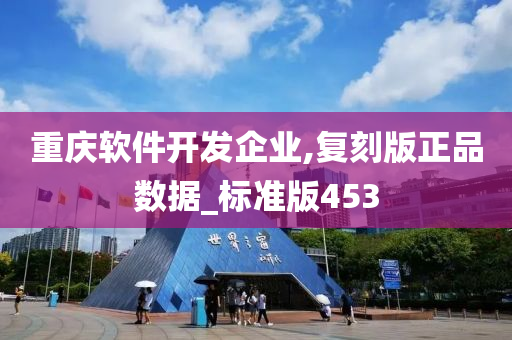 重庆软件开发企业,复刻版正品数据_标准版453