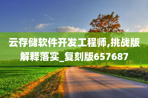 云存储软件开发工程师,挑战版解释落实_复刻版657687