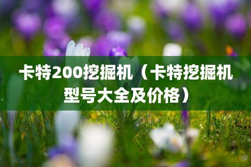 卡特200挖掘机（卡特挖掘机型号大全及价格）