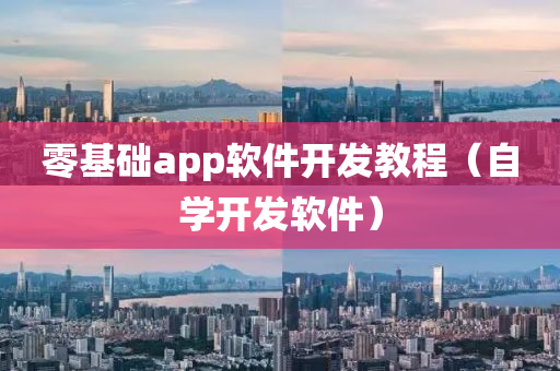 零基础app软件开发教程（自学开发软件）