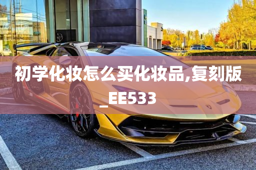 初学化妆怎么买化妆品,复刻版_EE533