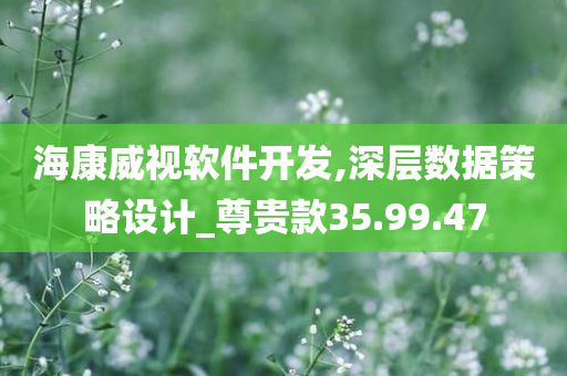 海康威视软件开发,深层数据策略设计_尊贵款35.99.47