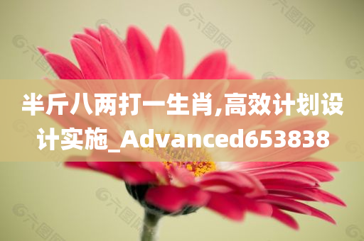 半斤八两打一生肖,高效计划设计实施_Advanced653838