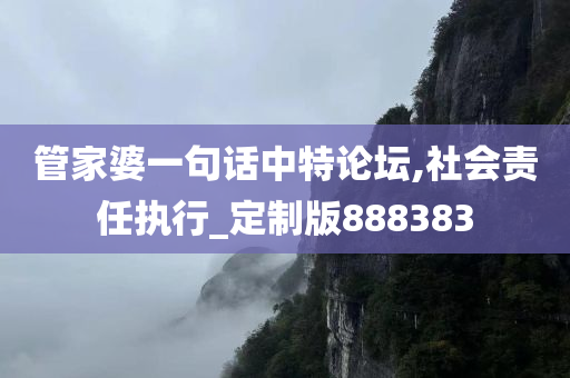 管家婆一句话中特论坛,社会责任执行_定制版888383