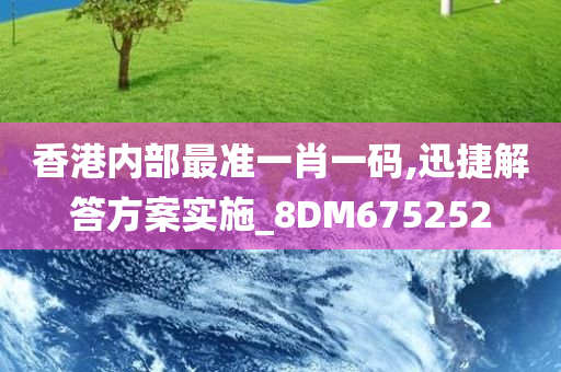 香港内部最准一肖一码,迅捷解答方案实施_8DM675252