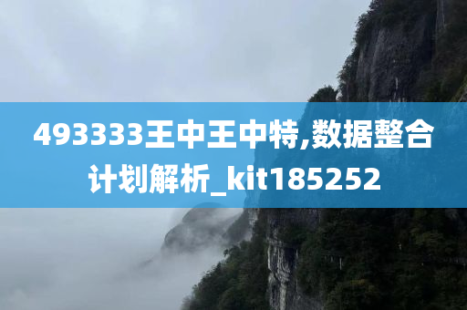 493333王中王中特,数据整合计划解析_kit185252