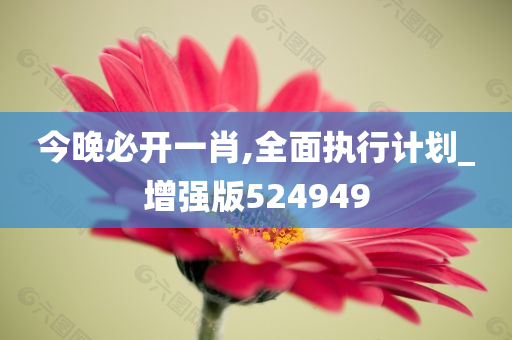 今晚必开一肖,全面执行计划_增强版524949