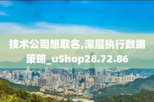 技术公司想取名,深层执行数据策略_uShop28.72.86