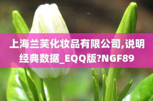 上海兰芙化妆品有限公司,说明经典数据_EQQ版?NGF89