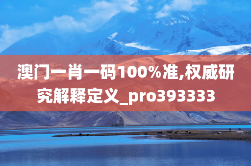 澳门一肖一码100%准,权威研究解释定义_pro393333