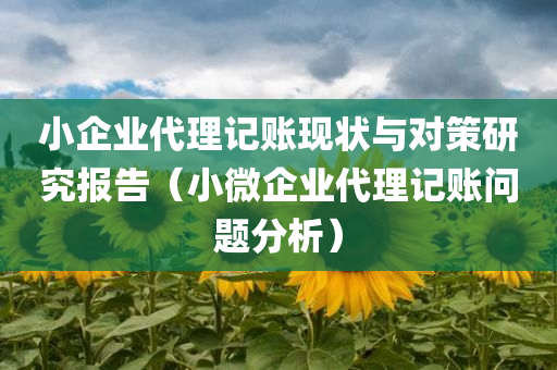 小企业代理记账现状与对策研究报告（小微企业代理记账问题分析）