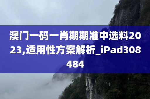 澳门一码一肖期期准中选料2023,适用性方案解析_iPad308484