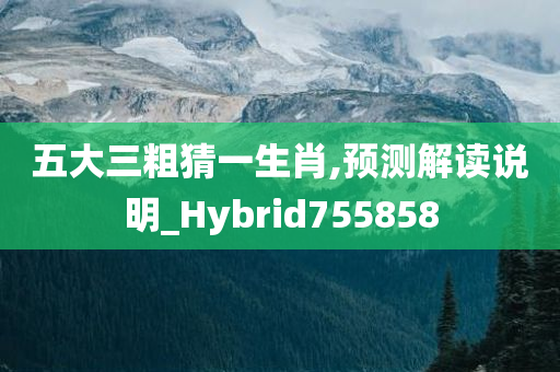 五大三粗猜一生肖,预测解读说明_Hybrid755858