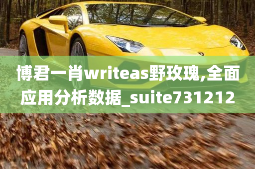 博君一肖writeas野玫瑰,全面应用分析数据_suite731212