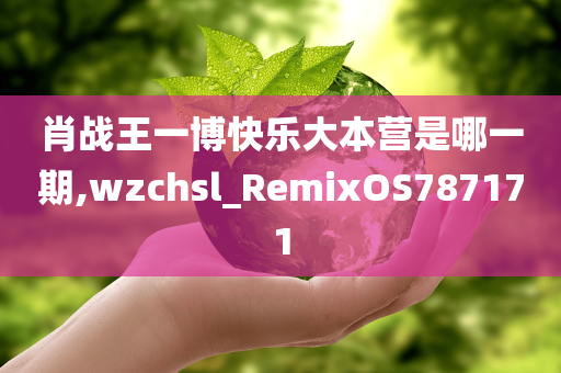 肖战王一博快乐大本营是哪一期,wzchsl_RemixOS787171