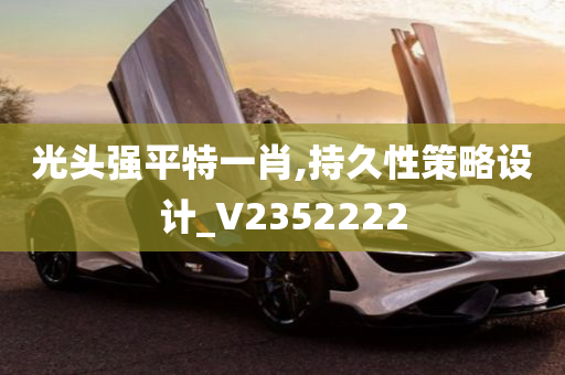 光头强平特一肖,持久性策略设计_V2352222