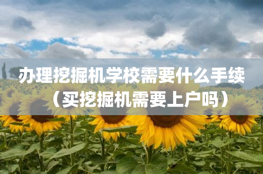 办理挖掘机学校需要什么手续（买挖掘机需要上户吗）