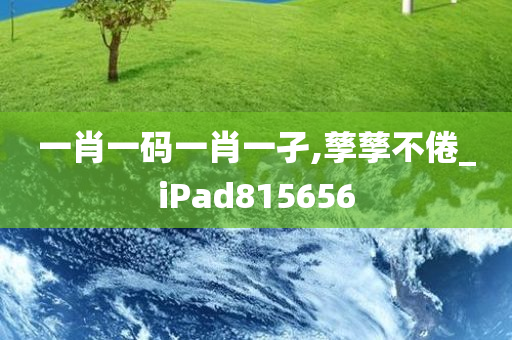 一肖一码一肖一孑,孳孳不倦_iPad815656