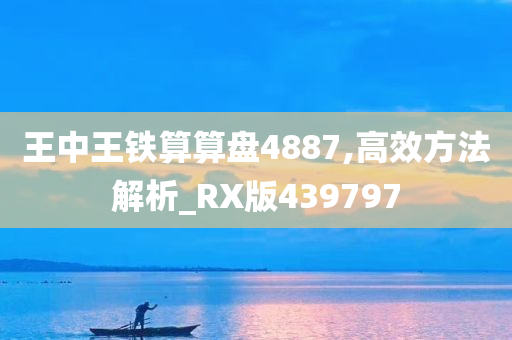 王中王铁算算盘4887,高效方法解析_RX版439797