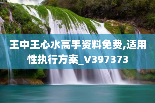 王中王心水高手资料免费,适用性执行方案_V397373