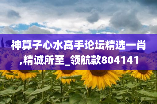 神算子心水高手论坛精选一肖,精诚所至_领航款804141