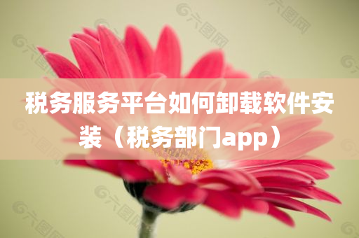 税务服务平台如何卸载软件安装（税务部门app）