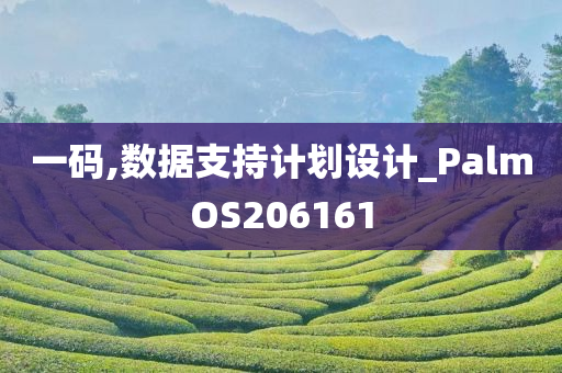 一码,数据支持计划设计_PalmOS206161