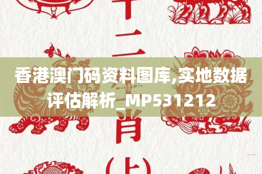 香港澳门码资料图库,实地数据评估解析_MP531212