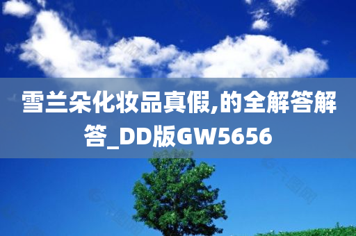 雪兰朵化妆品真假,的全解答解答_DD版GW5656