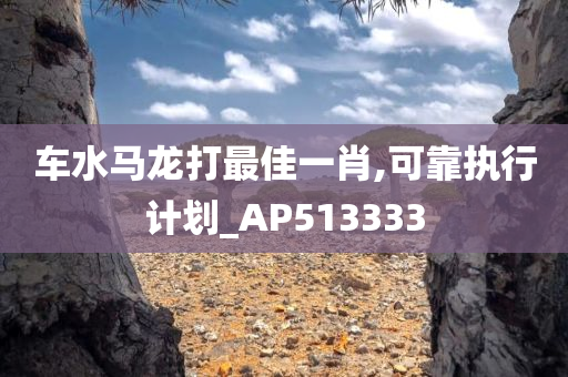 车水马龙打最佳一肖,可靠执行计划_AP513333