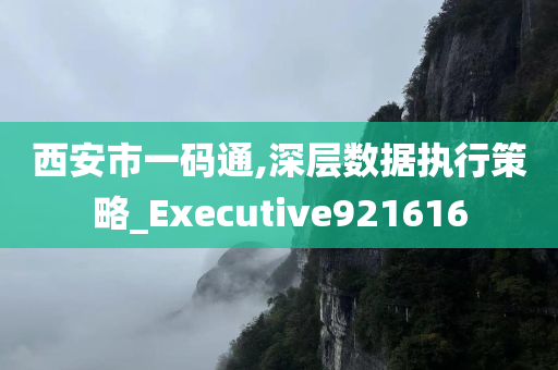 西安市一码通,深层数据执行策略_Executive921616