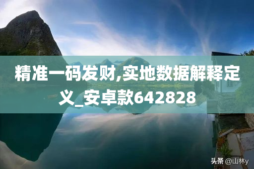 精准一码发财,实地数据解释定义_安卓款642828