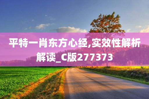 平特一肖东方心经,实效性解析解读_C版277373