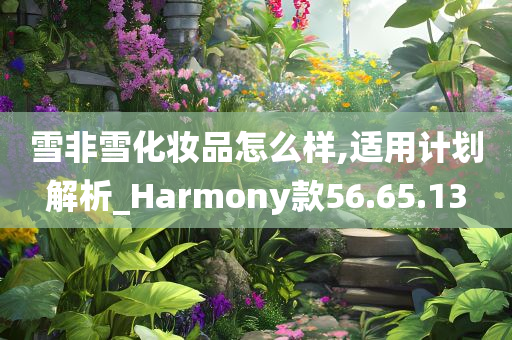 雪非雪化妆品怎么样,适用计划解析_Harmony款56.65.13