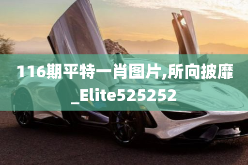 116期平特一肖图片,所向披靡_Elite525252