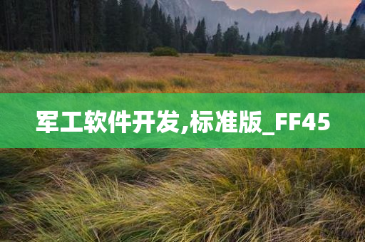 军工软件开发,标准版_FF45