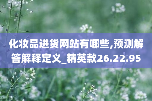 化妆品进货网站有哪些,预测解答解释定义_精英款26.22.95