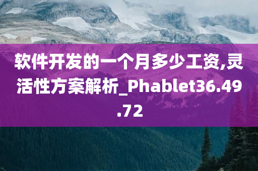 软件开发的一个月多少工资,灵活性方案解析_Phablet36.49.72