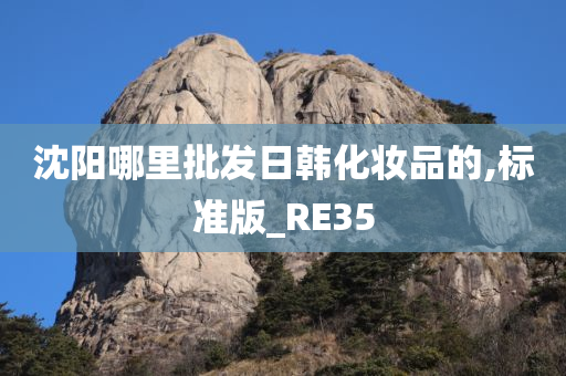 沈阳哪里批发日韩化妆品的,标准版_RE35