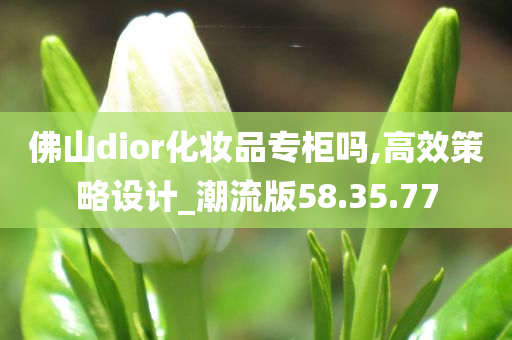 佛山dior化妆品专柜吗,高效策略设计_潮流版58.35.77