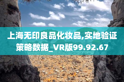 上海无印良品化妆品,实地验证策略数据_VR版99.92.67