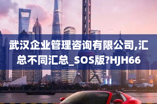 武汉企业管理咨询有限公司,汇总不同汇总_SOS版?HJH66