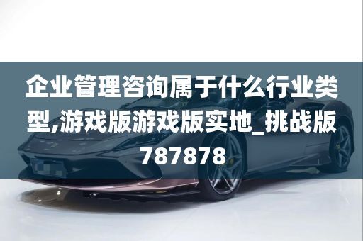 企业管理咨询属于什么行业类型,游戏版游戏版实地_挑战版787878