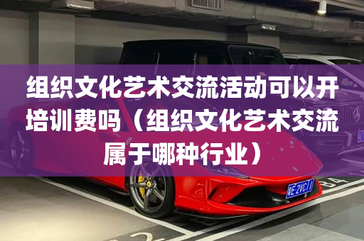 组织文化艺术交流活动可以开培训费吗（组织文化艺术交流属于哪种行业）