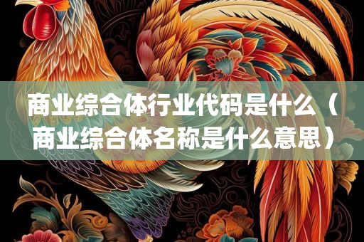 商业综合体行业代码是什么（商业综合体名称是什么意思）