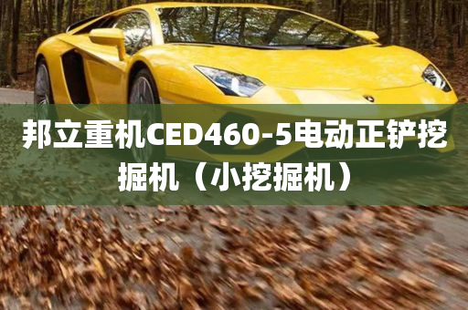 邦立重机CED460-5电动正铲挖掘机（小挖掘机）