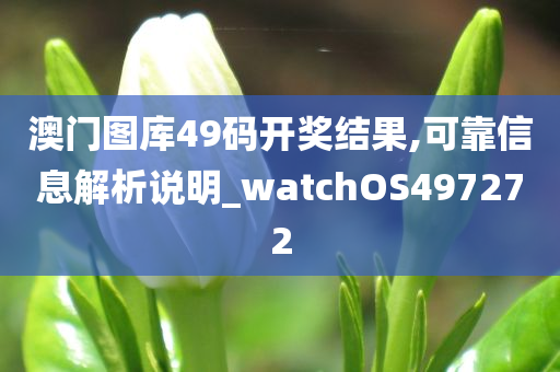 澳门图库49码开奖结果,可靠信息解析说明_watchOS497272