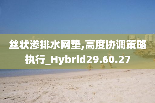 丝状渗排水网垫,高度协调策略执行_Hybrid29.60.27